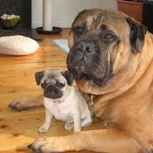 Meet your Posher, Maria